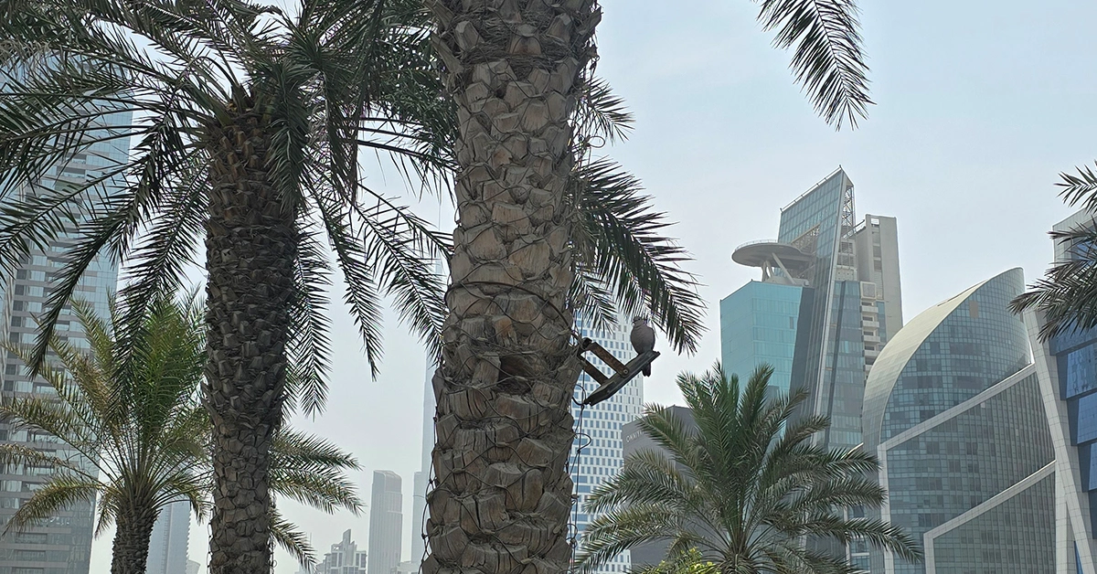 SEO Company in Dubai